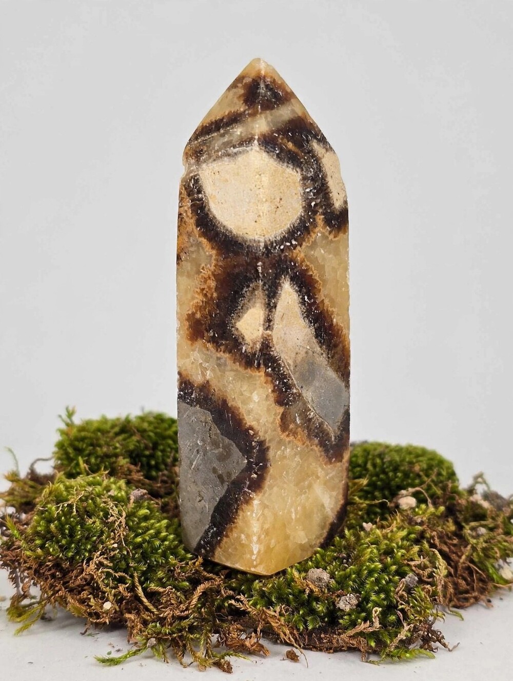 Septarian Tower: Polished Yellow Calcite & Brown Aragonite Dragon Stone Crystal